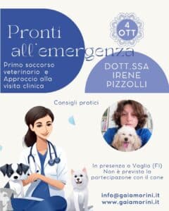 Pronti all emergenza