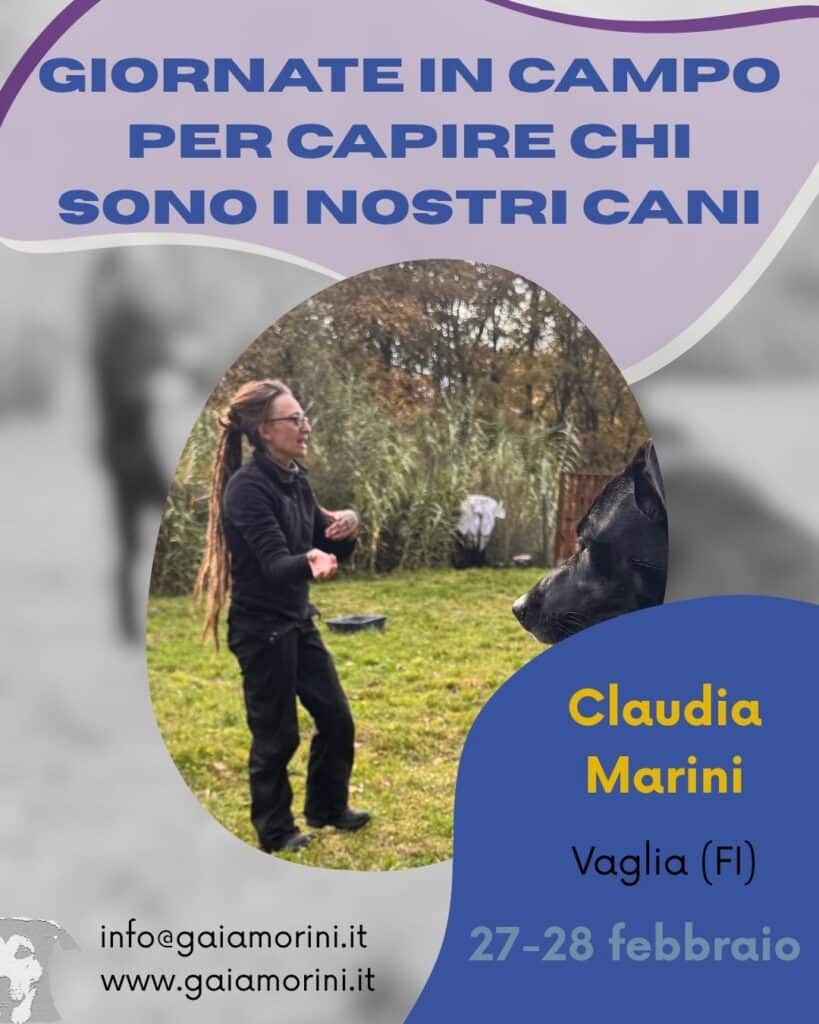 Giornate in campo con Claudia Marini