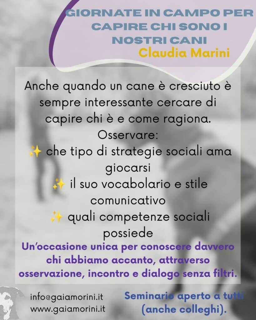 Giornate in campo con Claudia Marini