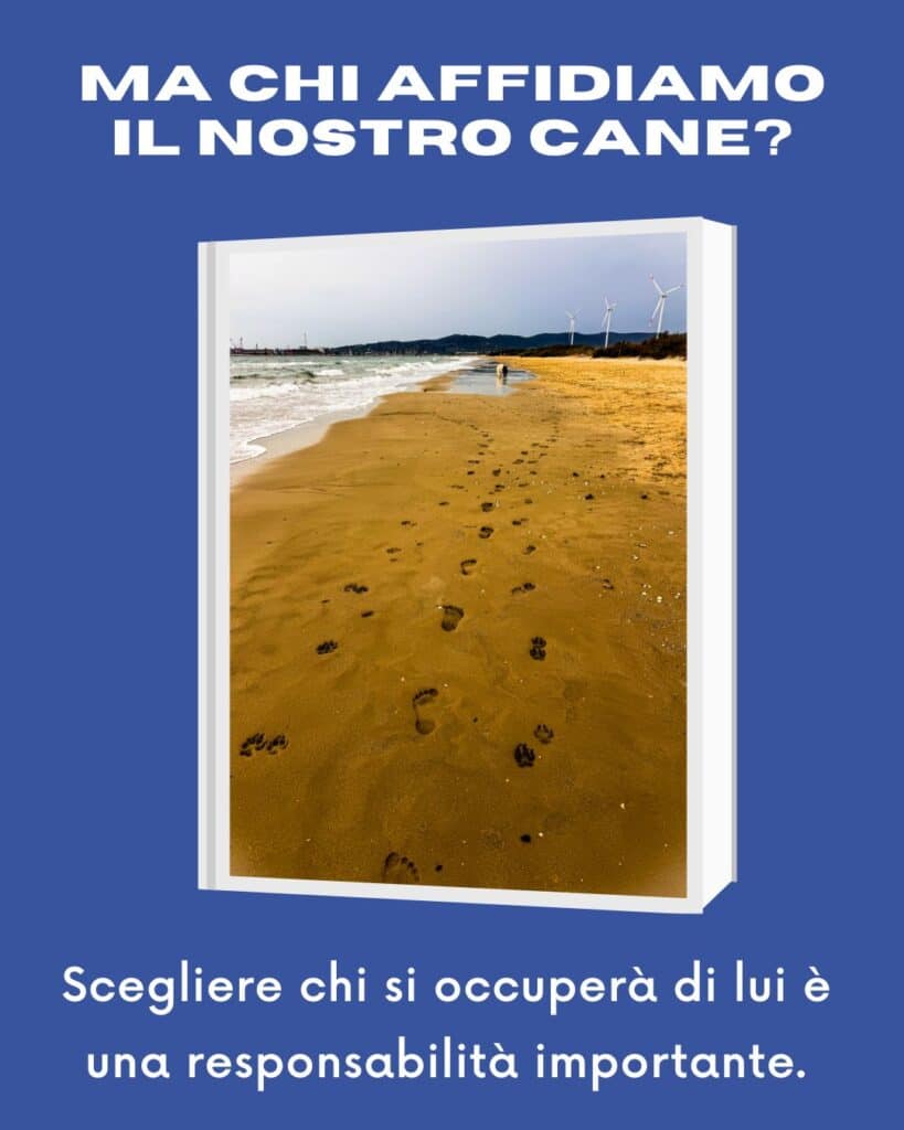 affidare il cane a una persona
